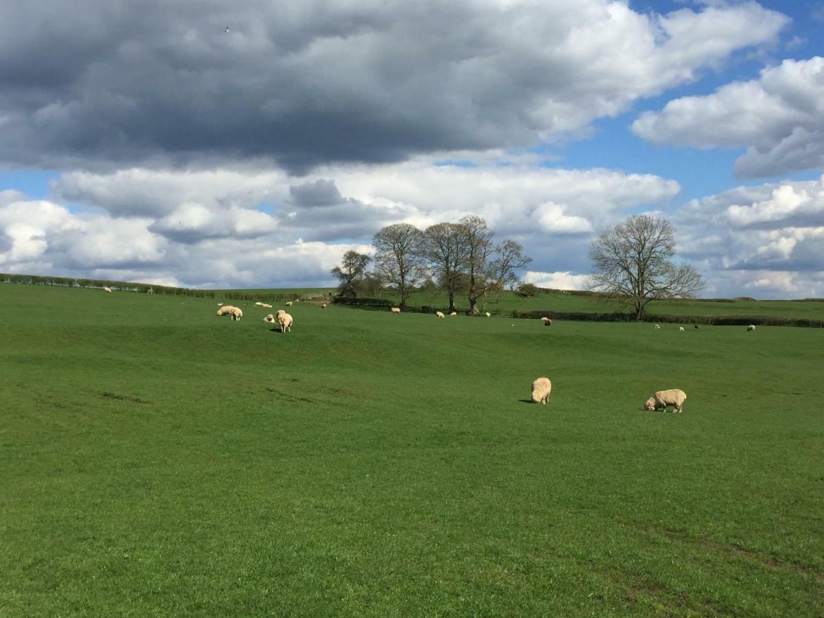 Villa Weatherhead Farm Shepherds Hut Buckingham Exterior foto